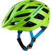 ALPINA Sports PANOMA 2.0 green-blue gloss 52-57